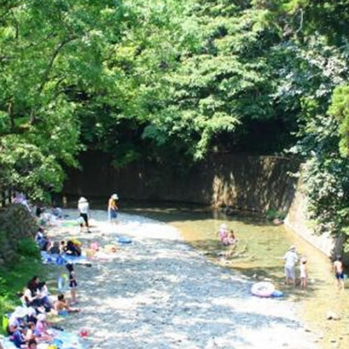 夏の涼を感じる猪野川｜伊野天照皇大神宮