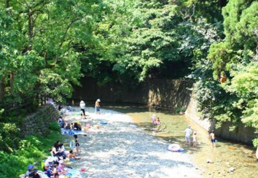 夏の涼を感じる猪野川｜伊野天照皇大神宮