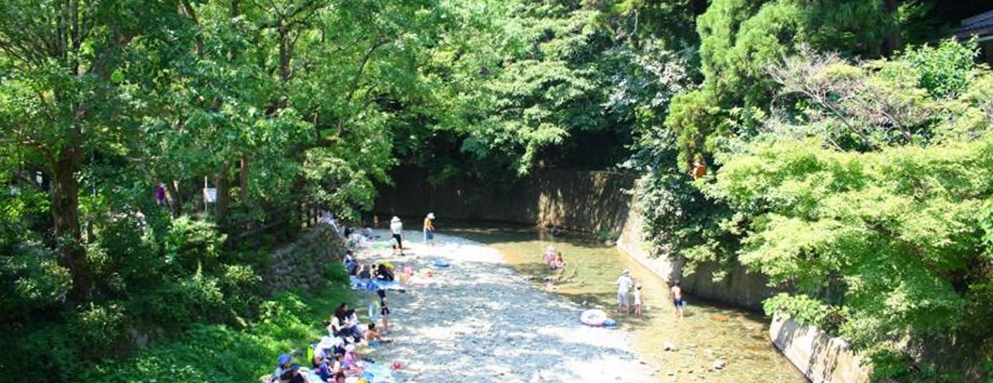 夏の涼を感じる猪野川｜伊野天照皇大神宮