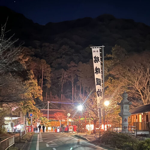 初詣｜伊野天照皇大神宮