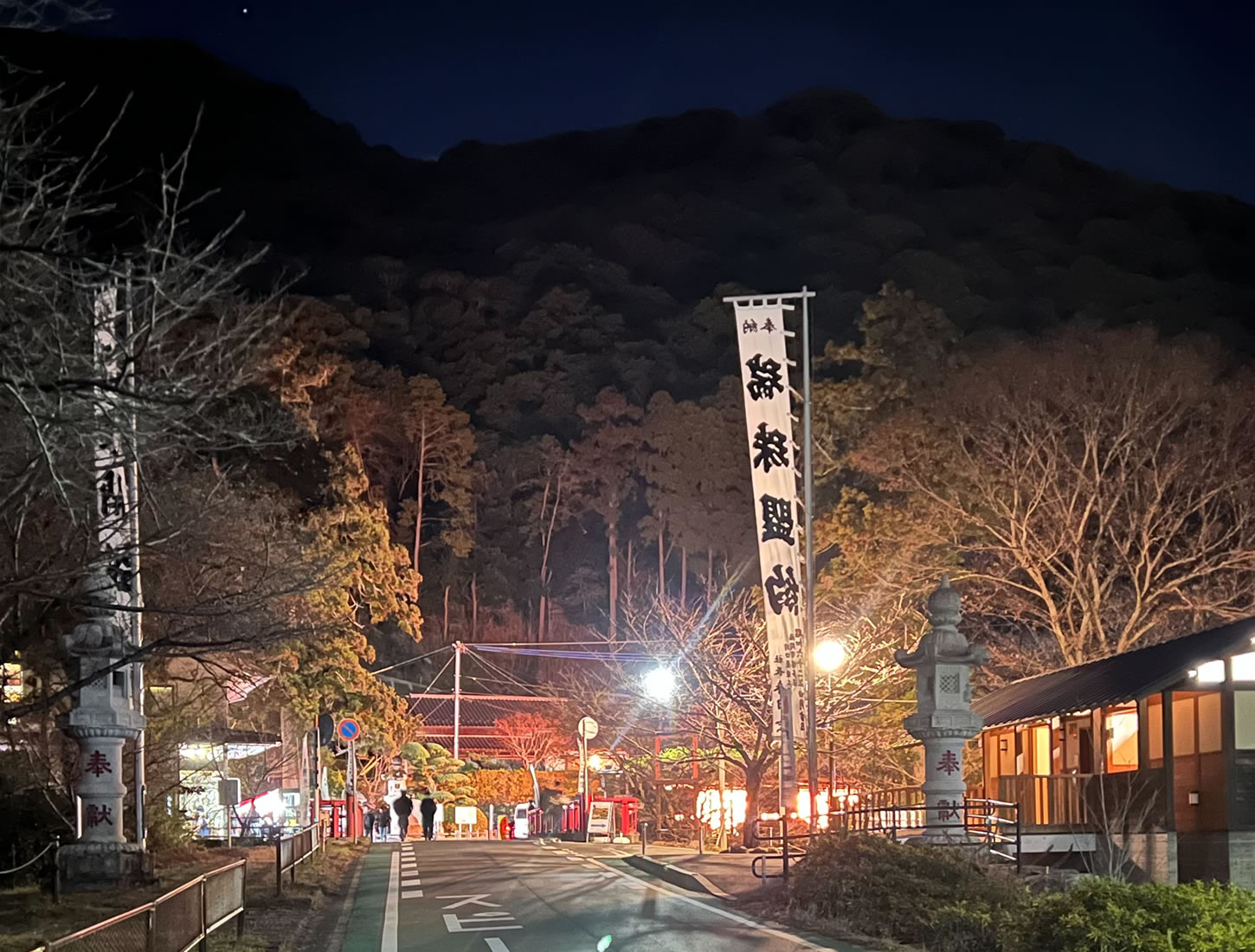 初詣｜伊野天照皇大神宮