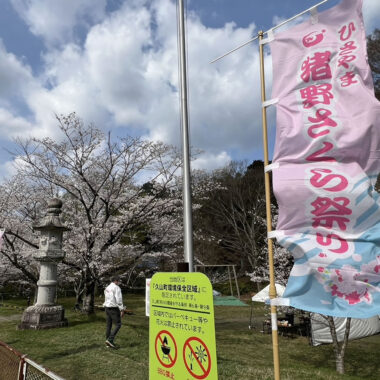 さくら祭｜伊野天照皇大神宮